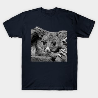 Opossum t-shirts T-Shirt